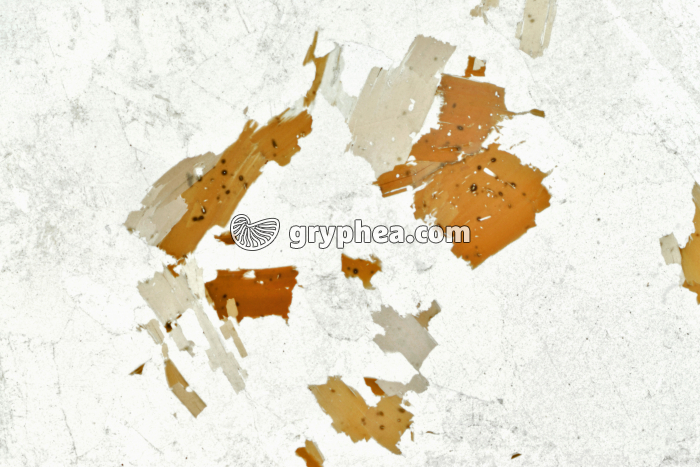 Granite LPNA x3 - gryphea.com